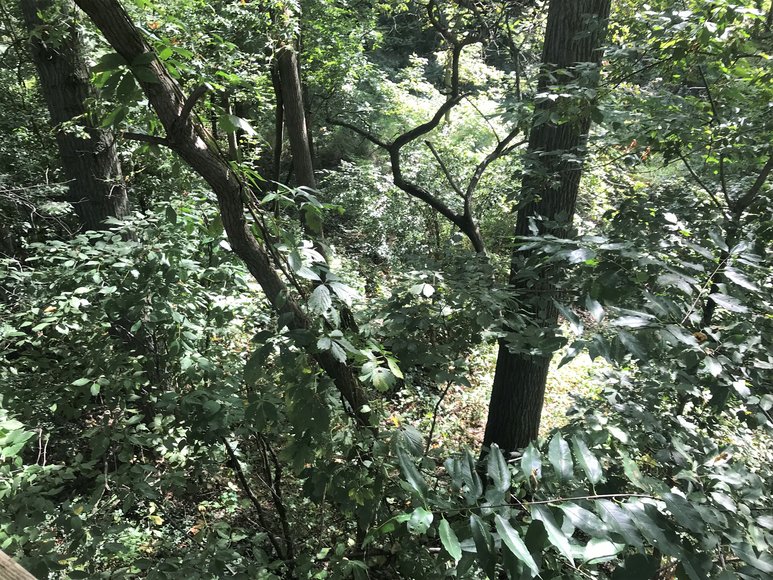 Image for SOLD PRIOR TO AUCTION! - 1855 Green Valley Dr