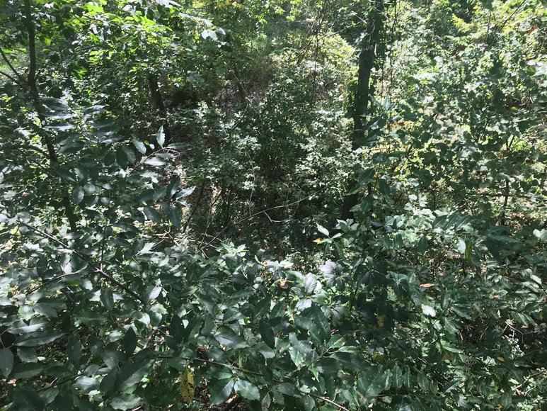 Image for SOLD PRIOR TO AUCTION! - 1855 Green Valley Dr