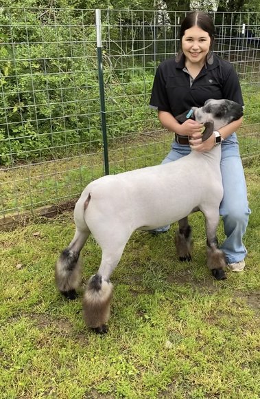 Image for Junior Livestock Project Auction #2