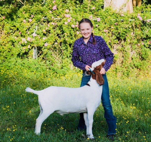 Image for Junior Livestock Project Auction #2