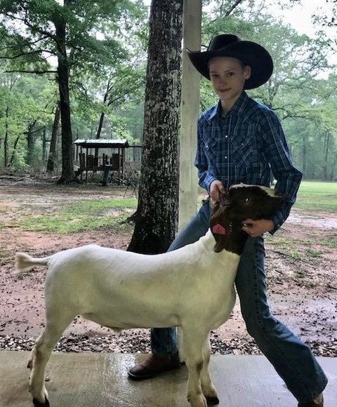 Image for Junior Livestock Project Auction #2