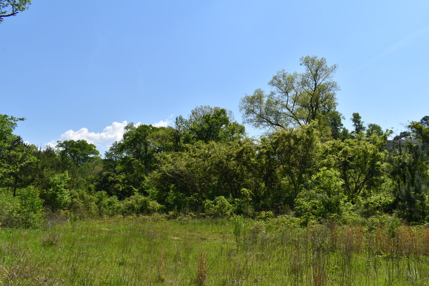 Cahaba River Waterfront Lot (3.81± Acres), Hoover, AL