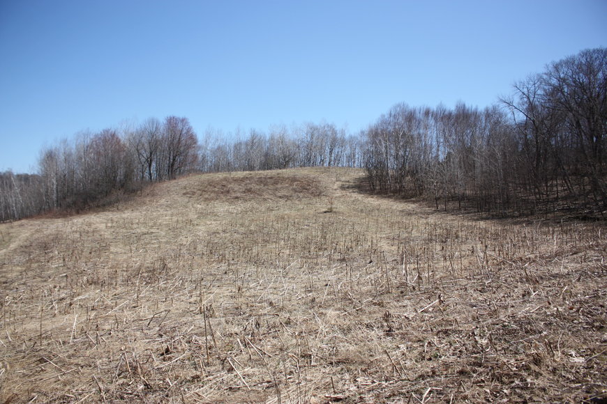 26.18 Acres in Dunn County, WI