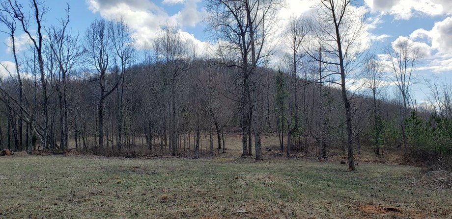Image for Beautiful 185 Acres in Bedford County