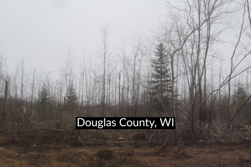 40 Acres in Douglas County, WI