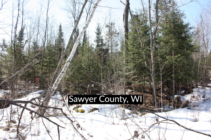 40 Acres Sawyer County, WI