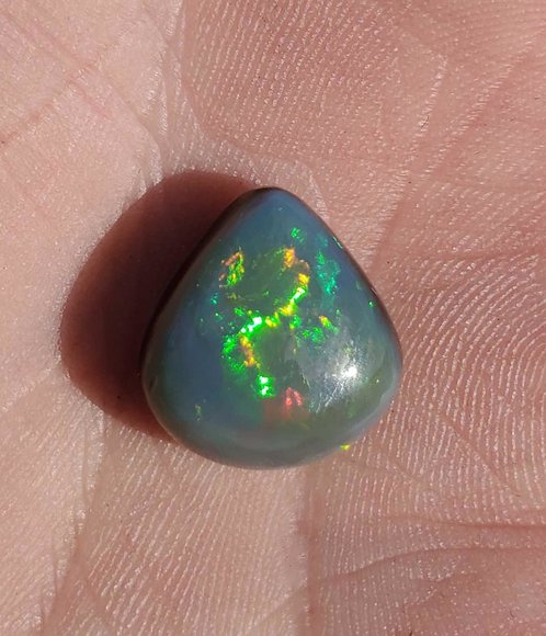 Image for Sunshine Online Auction