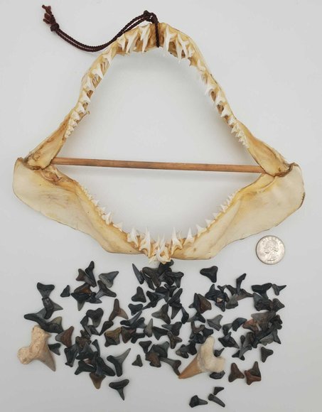 Image for Sunshine Online Auction