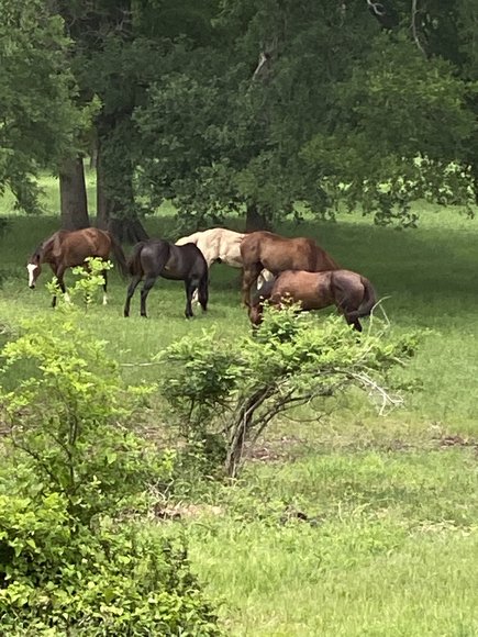 Image for 00 CR 430, Dime Box 77853 - Lee County