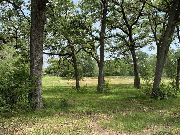 Image for 00 CR 430, Dime Box 77853 - Lee County