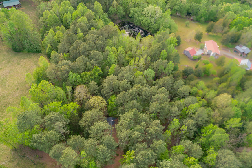 Image for 3 BR/2 BA Home w/Pond on 5 +/- Wooded Acres in Brunswick County, VA