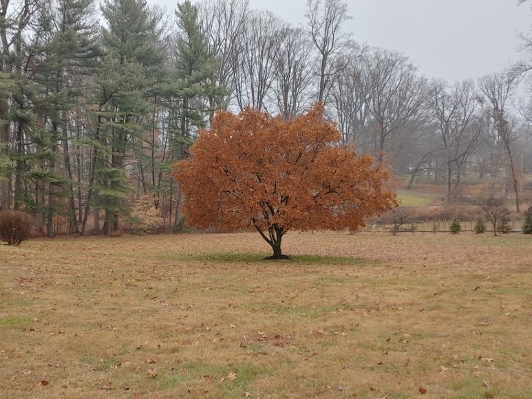 Image for PUBLIC AUCTION - HARFORD CO. MD.