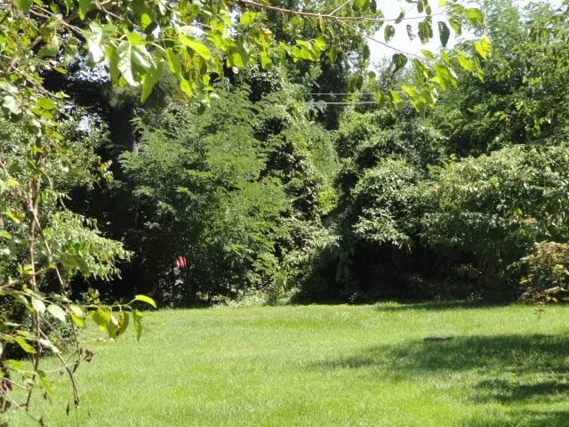 Image for To settle the Estate of Brad Wallace
PUBLIC ESTATE AUCTION