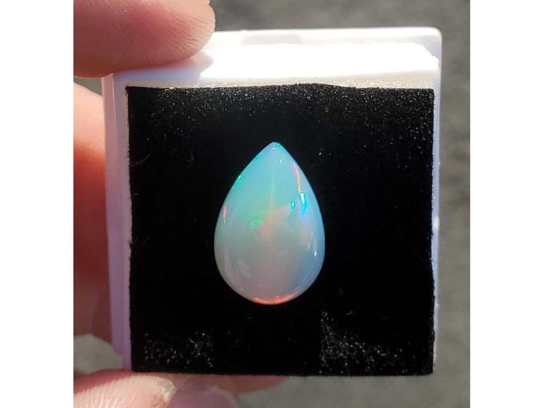 Image for May Discovery Online Auction