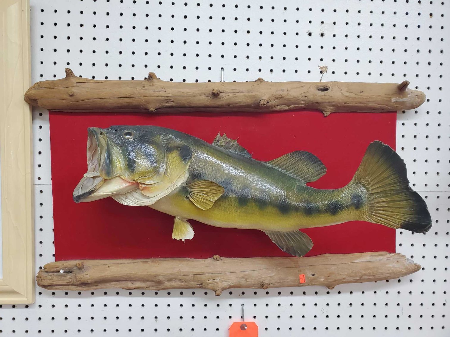 Image for Vehicle, Coins, Furniture, Collectibles-Main Front