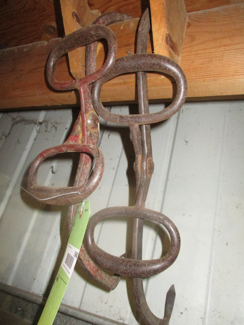 Image for Robert Van Buskirk & Son Nursery