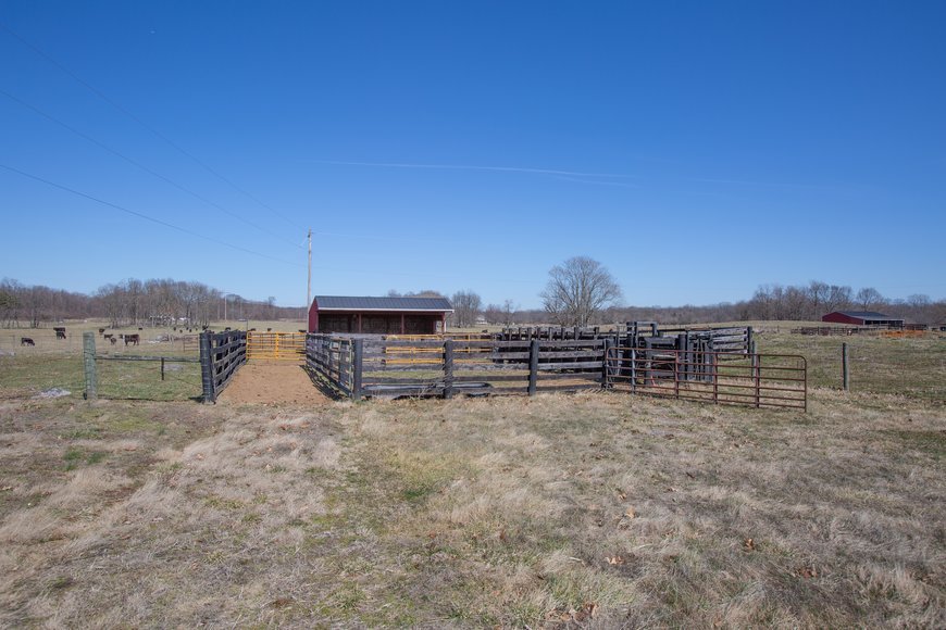 Image for 105 +/- Acres of Farm Land w/Outbuildings, Fencing, Waterers & More!!--Clarke County, VA