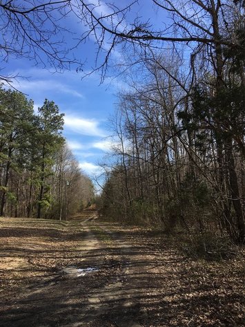Image for 15.2 +/- Acre Wooded Building Lot Just Outside of Blackstone, VA--SELLS to the HIGHEST BIDDER via ONLINE ONLY BIDDING!!