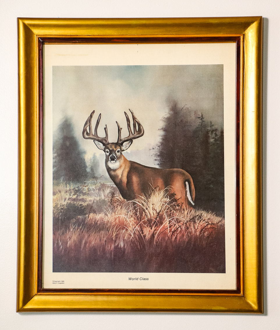 Image for Absolute Estate Auction in Jeffersontown