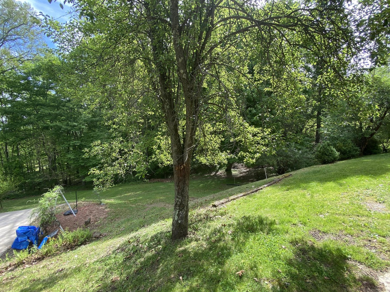 Image for Ranch Home on 3.03 Acres near Apple Valley Golf Course