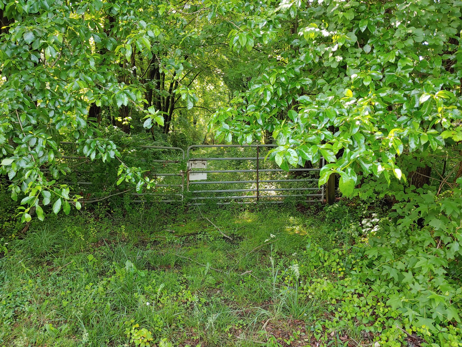 Image for 2 STORY VINYL SIDED 3 BR, 2 BATH HOME, 2 PARCELS, ZONED R-2, 2.24+/- ACRES PLUS REMAINING PERSONAL PROPERTY