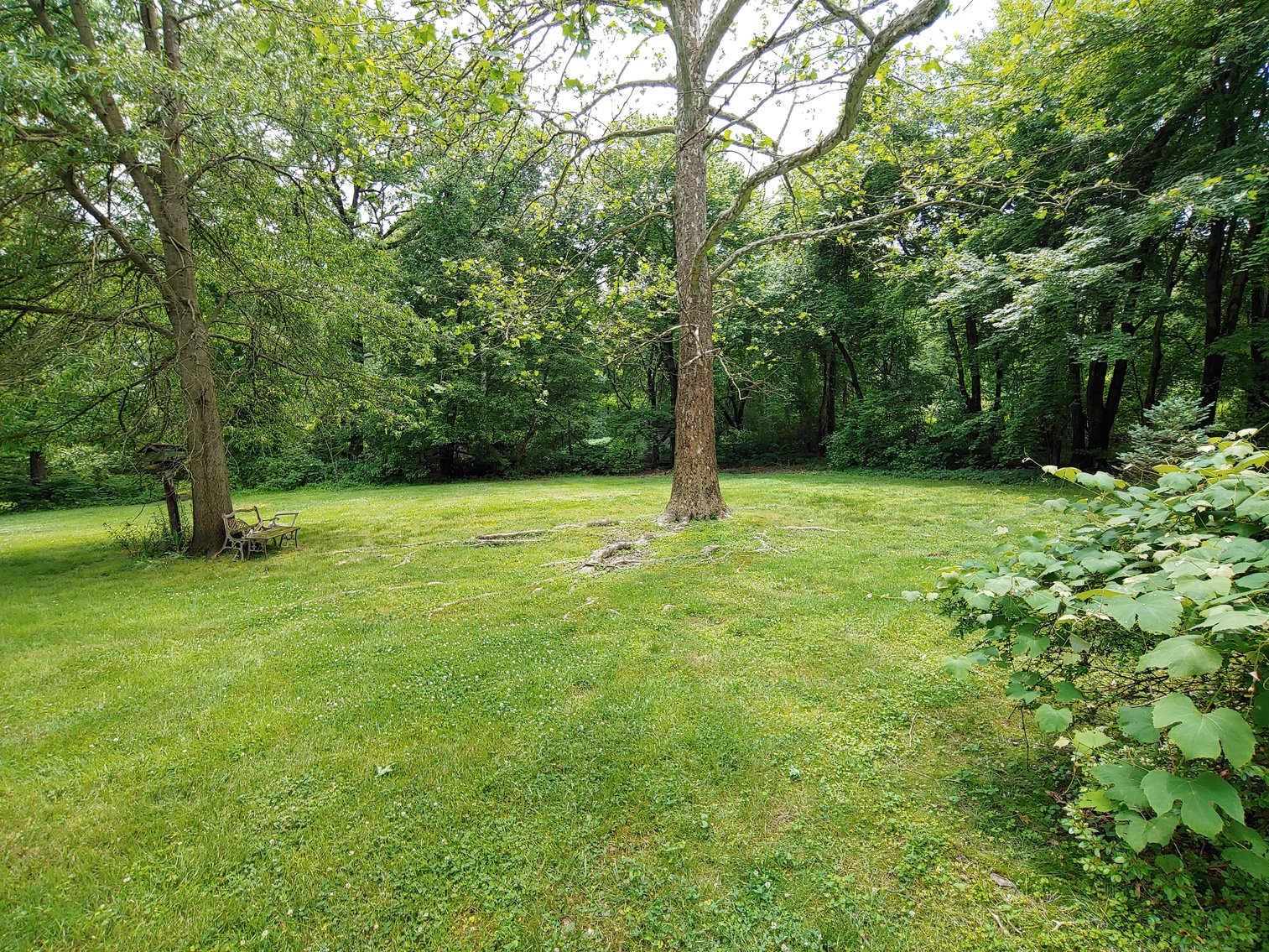 Image for 2 STORY VINYL SIDED 3 BR, 2 BATH HOME, 2 PARCELS, ZONED R-2, 2.24+/- ACRES PLUS REMAINING PERSONAL PROPERTY