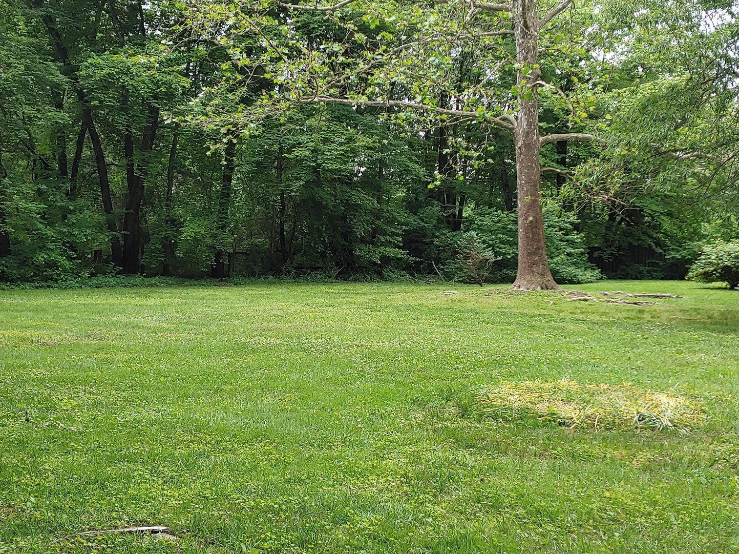 Image for 2 STORY VINYL SIDED 3 BR, 2 BATH HOME, 2 PARCELS, ZONED R-2, 2.24+/- ACRES PLUS REMAINING PERSONAL PROPERTY