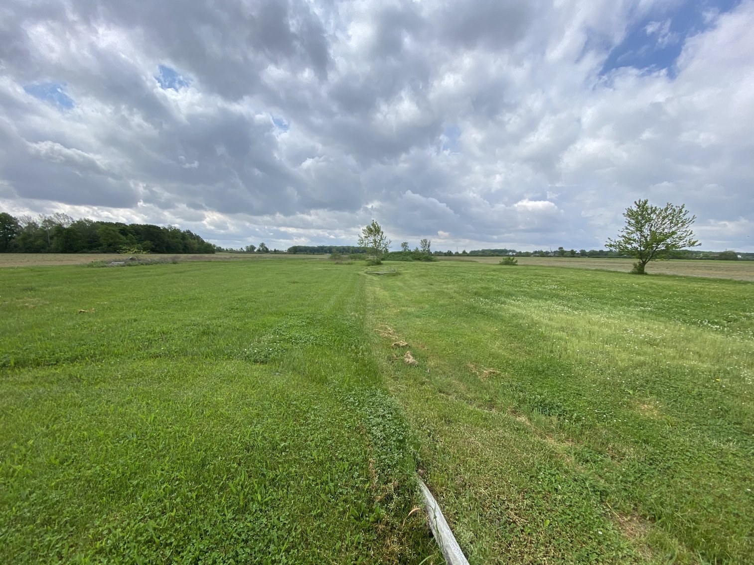 Image for MINIMUM BID AUCTION! $175,000 - 6060 Navarre Avenue