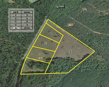 Image for ONLINE ONLY AUCTION - July 9, 2020 - Putnam Co., GA