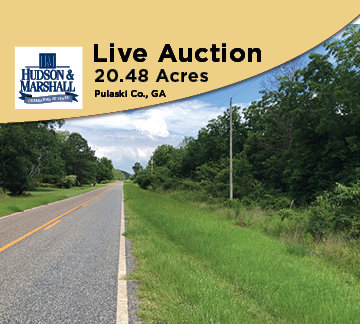 Image for LIVE AUCTION: July 9, 2020 - Pulaski Co., GA