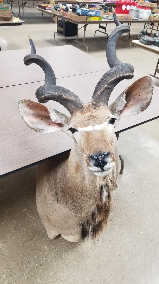 Image for Live Sporting Auction - Thursday June 25, 4:00PM