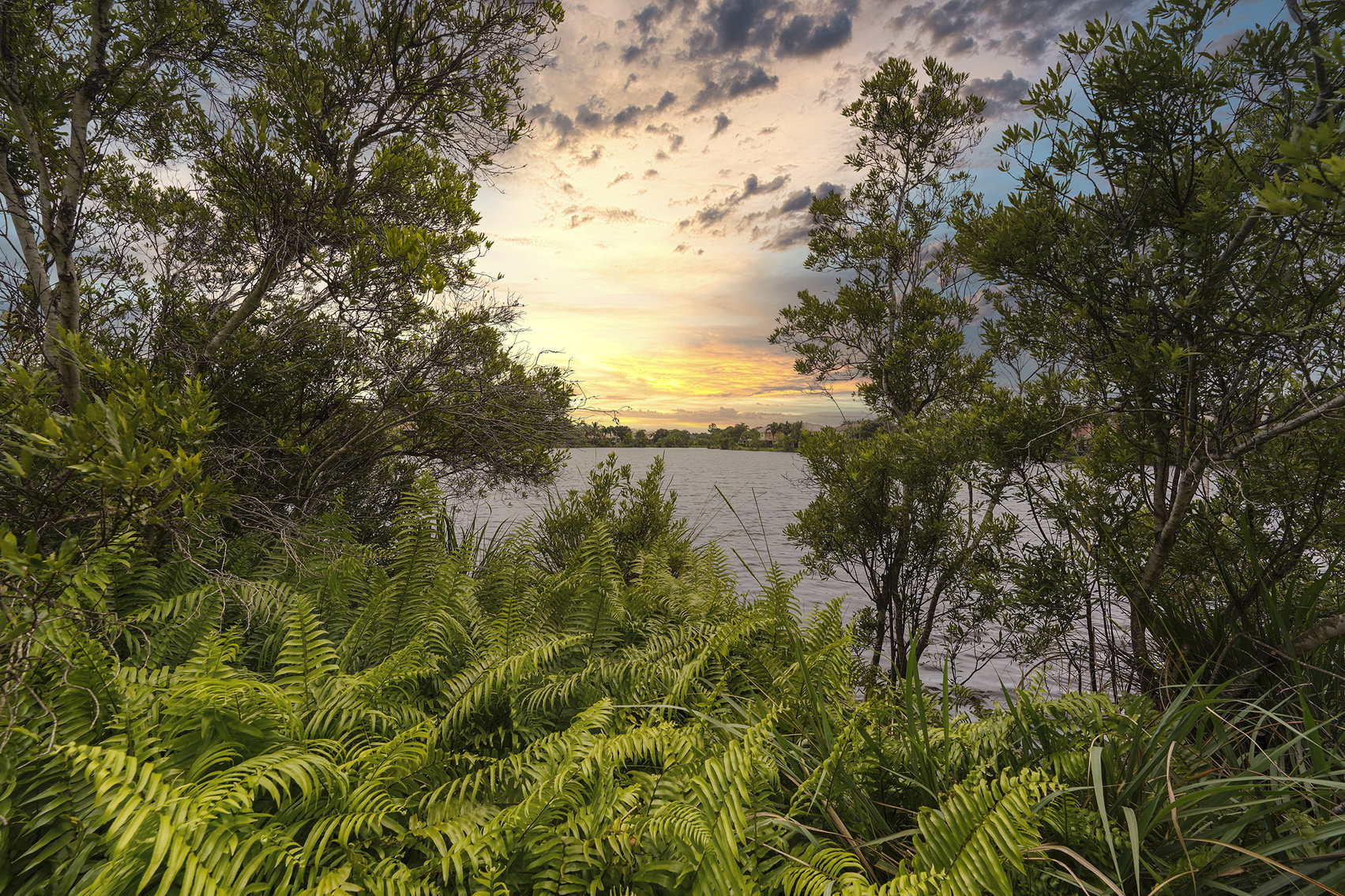 Image for Beautiful 2-Story Home in The Oaks  For Sale ONLY at ABSOLUTE AUCTION
