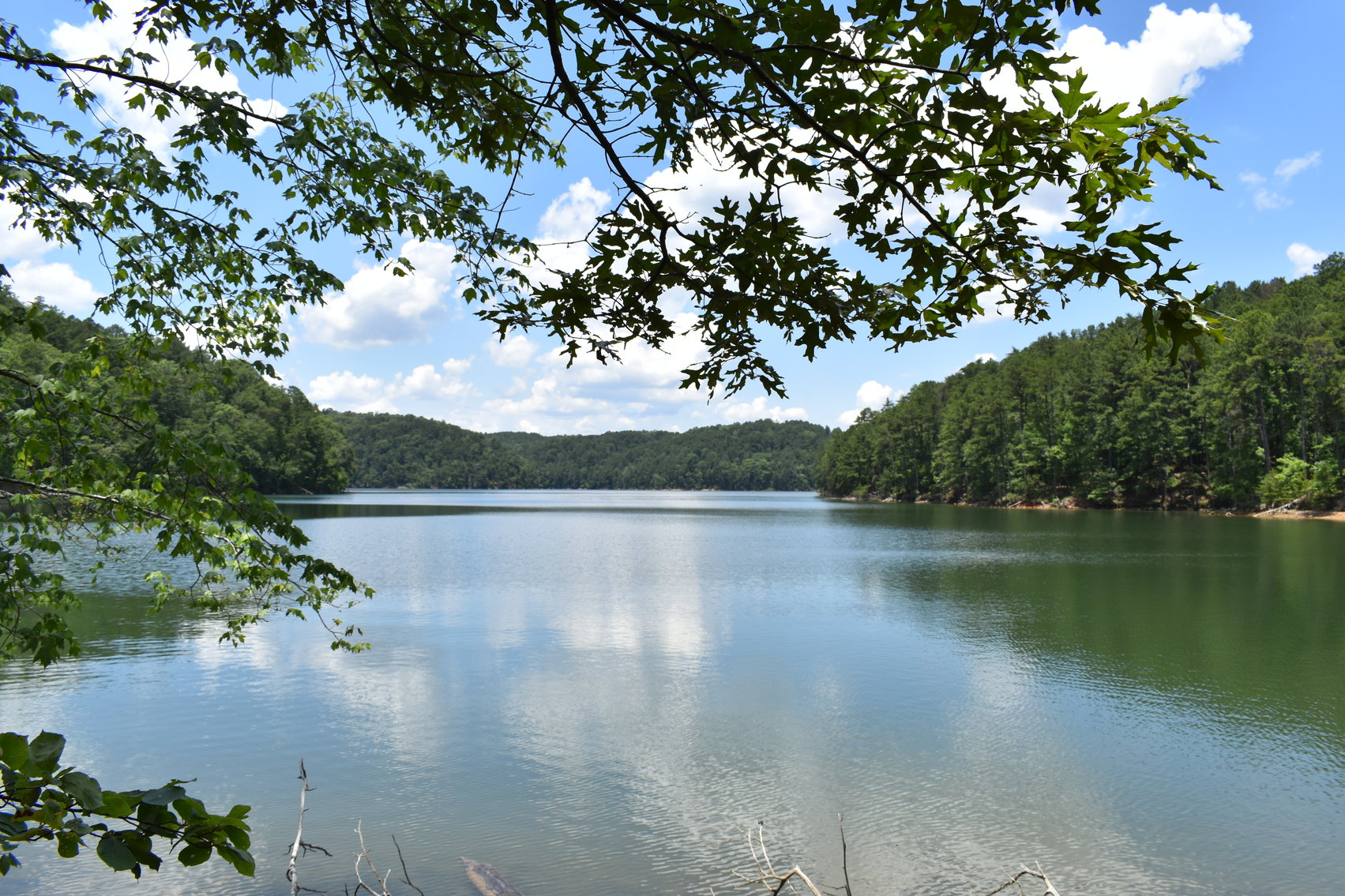 SOLD 492± Acres at Inland Lake in Blount County, AL