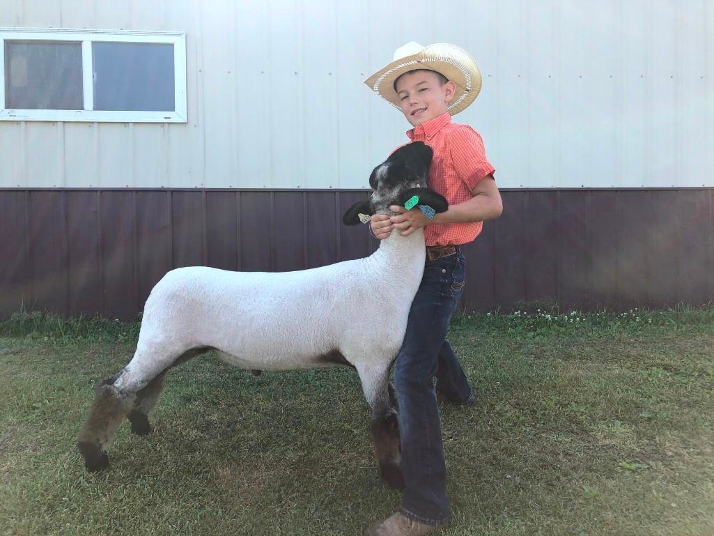Image for Johnson County 4-H & FFA Livestock Auction