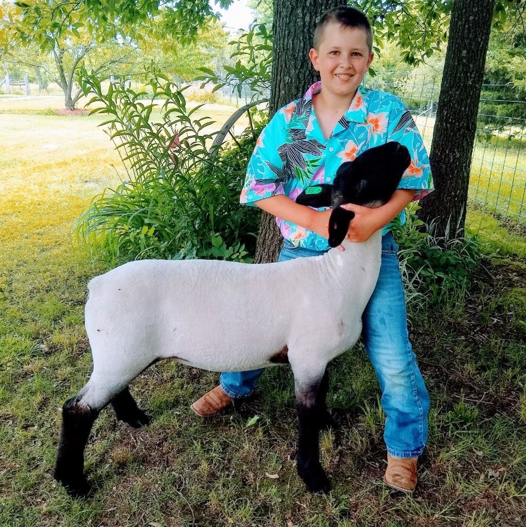 Image for Johnson County 4-H & FFA Livestock Auction