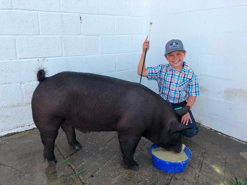 Image for Johnson County 4-H & FFA Livestock Auction