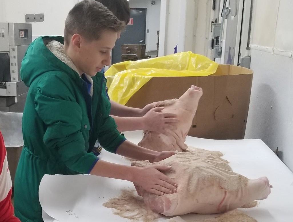 Image for Johnson County 4-H & FFA Livestock Auction