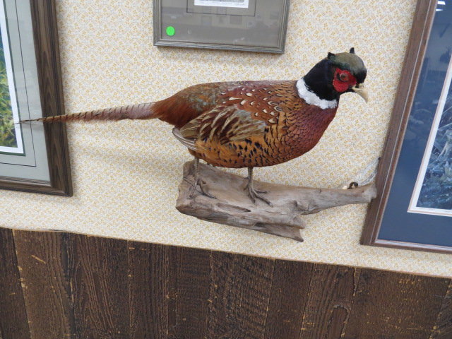 Image for Live Sporting Auction - Thursday June 25, 4:00PM