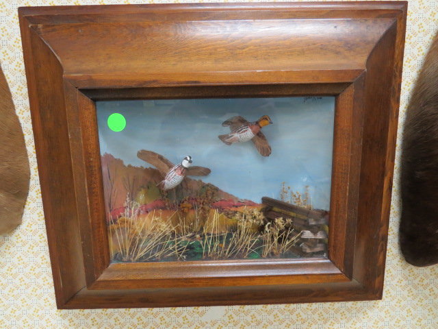 Image for Live Sporting Auction - Thursday June 25, 4:00PM