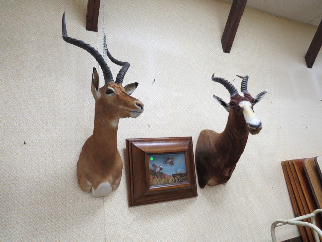 Image for Live Sporting Auction - Thursday June 25, 4:00PM