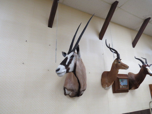 Image for Live Sporting Auction - Thursday June 25, 4:00PM