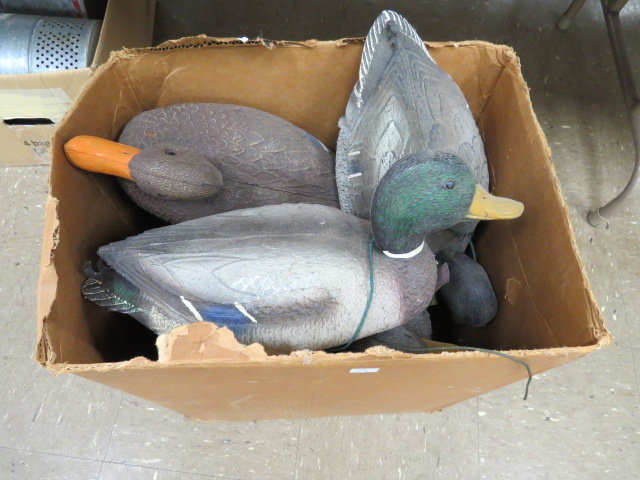 Image for Live Sporting Auction - Thursday June 25, 4:00PM