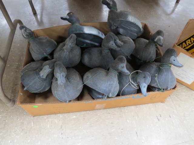 Image for Live Sporting Auction - Thursday June 25, 4:00PM