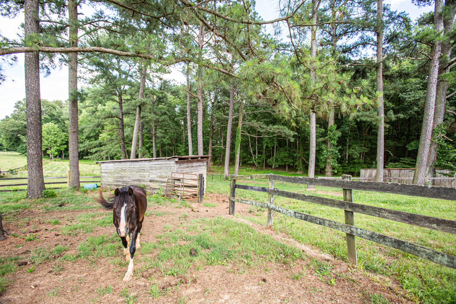 Image for 3 BR/2.5 BA Home w/13 Stall Barn 17.47 +/- Acres and Two 2 Acre Building Lots in Orange County, VA