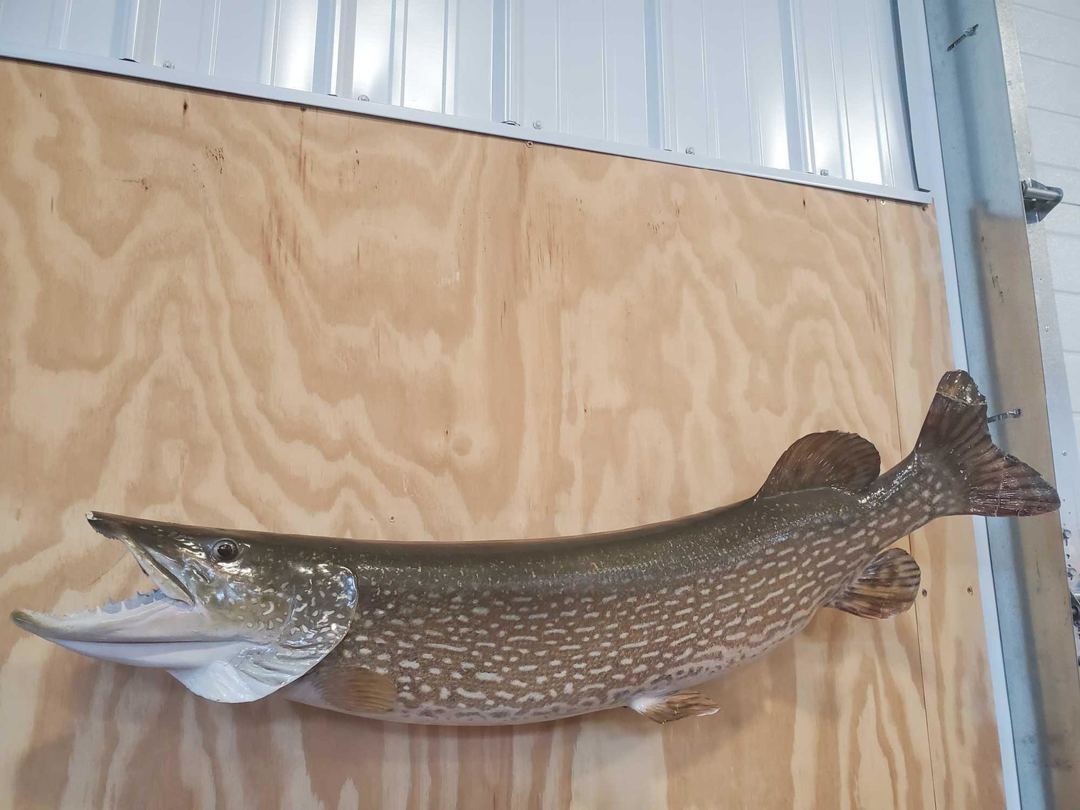 Image for Furniture, Collectibles, Household-New building North