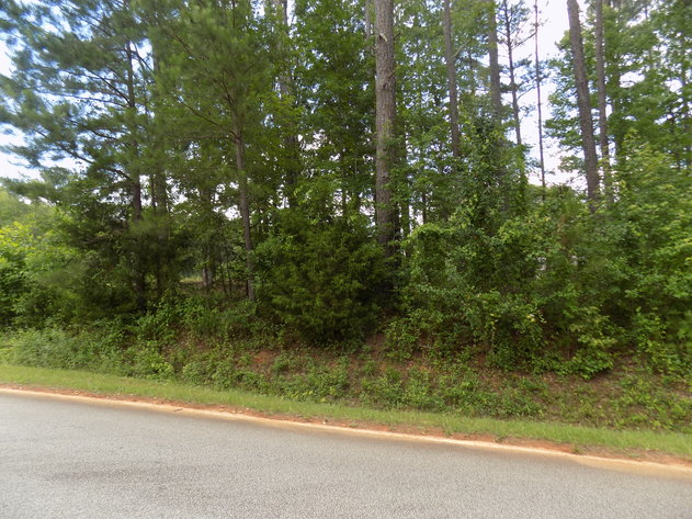 Image for Metro Atlanta Surplus Properties