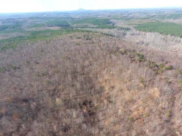 Image for 159 Inside Drive