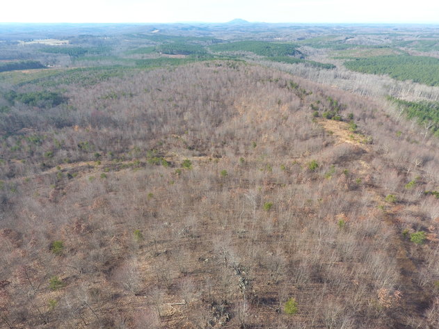 Image for 159 Inside Drive