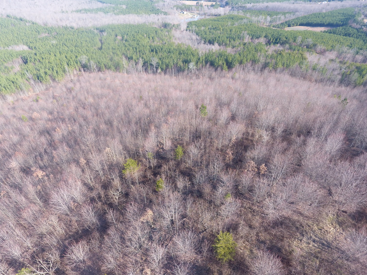 Image for 159 Inside Drive