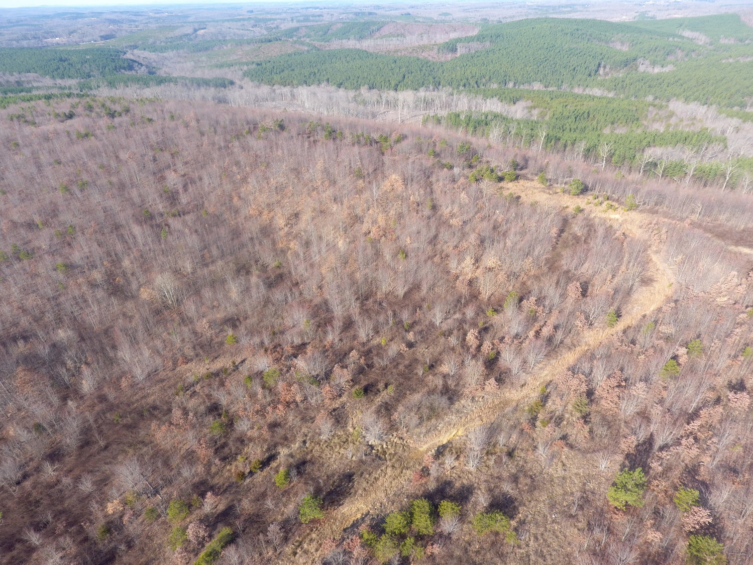 Image for 159 Inside Drive